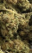14g -REDANKULOUS - (AAA)