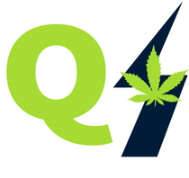 QUANTUM 1 CANNABIS