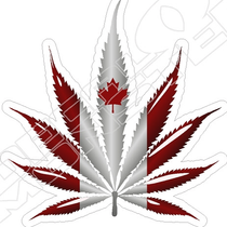 Maple Leaf Terp