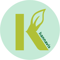 Kannavis