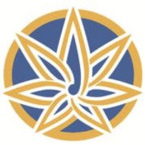 Euphoria Wellness - Hamilton