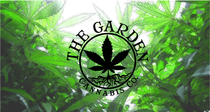 THE GARDEN CANNABIS COMPANY