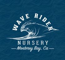 Wave Rider Nursery