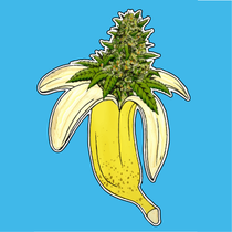 Banana Leaf Dispensary