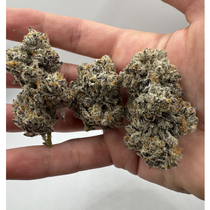 Canna-corp-canada.com