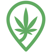 Mellow Fellows - Haverhill