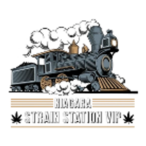 Niagara Strain Station