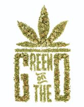 Green On The Go - Hayward