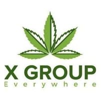 X Group