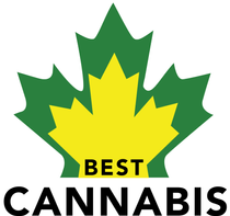 BEST CANNABIS