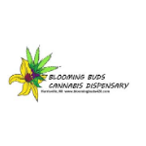 Blooming Buds - Harrisville