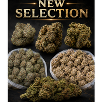 California Buds