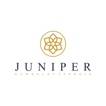Juniper