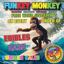 Funkey Monkey