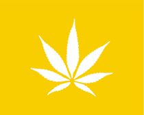 Coastal West LA Dispensary