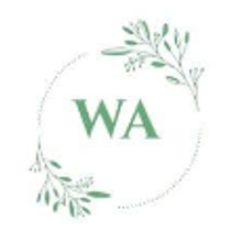White Atmoss Canna - Newburgh