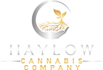 Haylow Cannabis Company