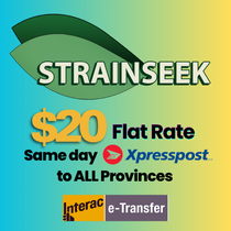 StrainSeek