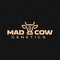 Mad Cow