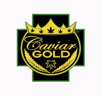 Caviar Gold