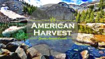 American Harvest