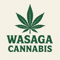 WASAGA CONNECTION
