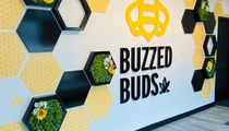 Buzzed Buds (Pickering)