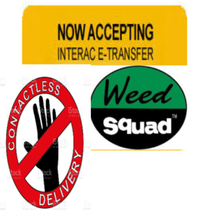 Weed Squad Niagara