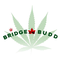 Bridgebudd519