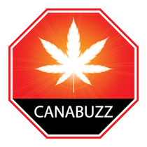 CanaBuzz