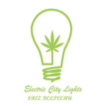 Electric City Lights