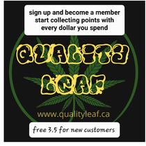 #1 QUALITY LEAF