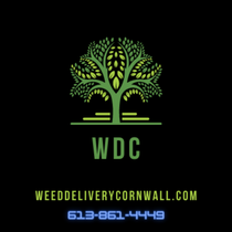 WeedDeliveryCornwall