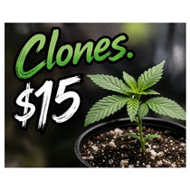 Canna-corp-canada.com 