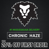 chronic haze