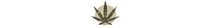 ROOTED ZEN CANNABIS CO.