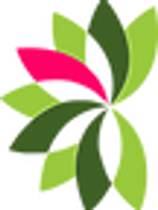 BOW CANNABIS