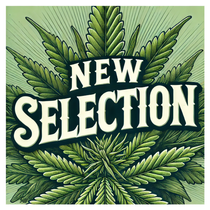 Canna-corp-canada.com