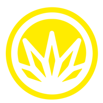 Cannabis 21+ La Jolla Delivery