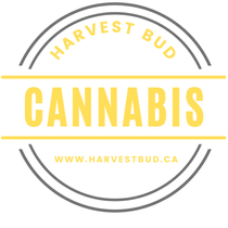 HARVEST BUD CANNABIS