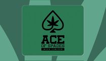 Ace of Spades Weed Limited