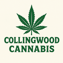 Collingwood CONNECTION 