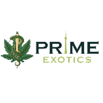 PRIME EXOTICS ⬇️ 1HR  247