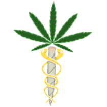 Famous Dispensary LLC