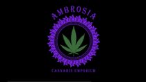 Ambrosia Cannabis