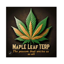 Maple Leaf Terp