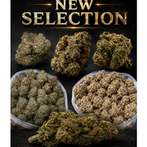 Canna-corp-canada.com