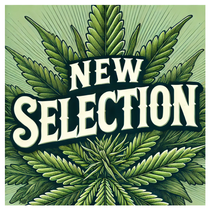 Canna-Corp-Canada.com