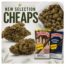 California Buds