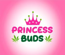 PRINCESS BUDS INC.